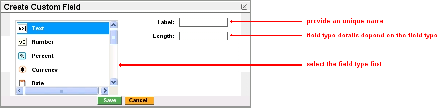 Custom Field Definition